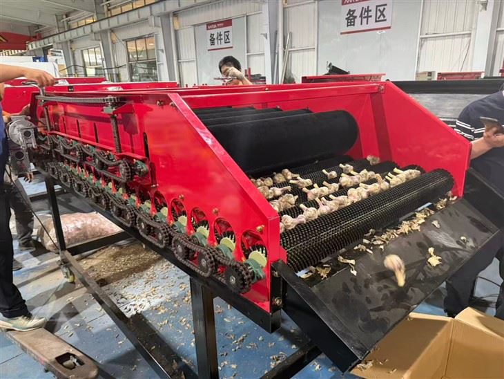 2026 New Released Double Layer Garlic And Onion Brushing Machine Removing Outer Skin factory