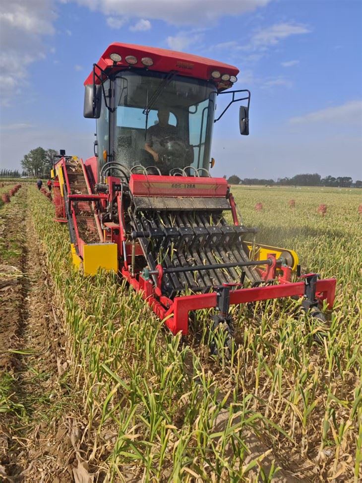4DS-128A Convenient Operation Garlic Combine Harvester Agricultural Harvest Machinery factory