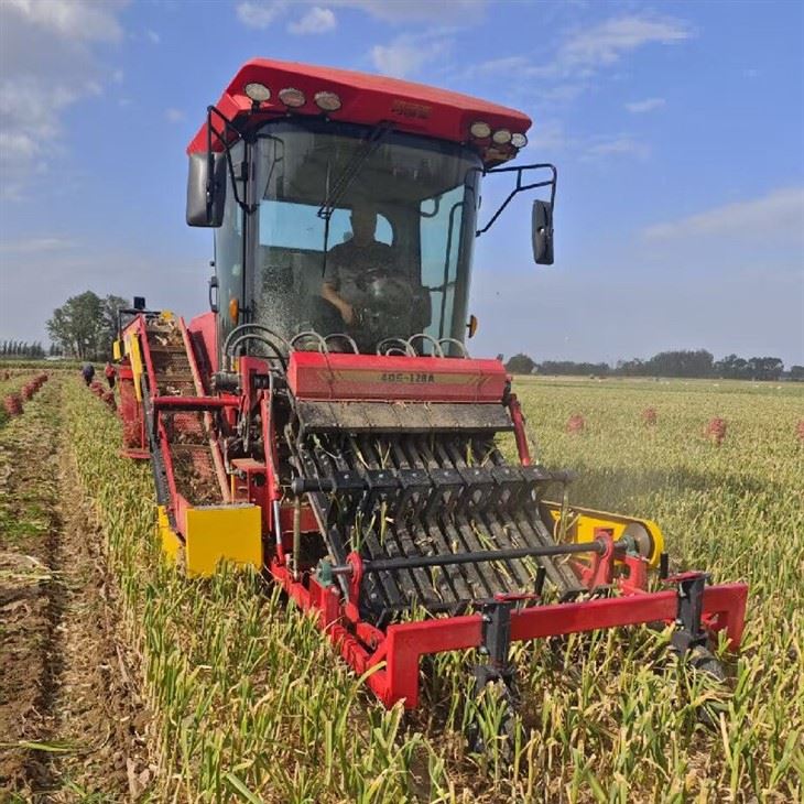 Agricultural Machinery Garlic Combine Harvester 140HP Self Propelled Harvesting Machine factory