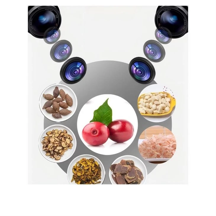 AI Color Sorter BL30 Intelligent Garlic Separation Color Sorter price