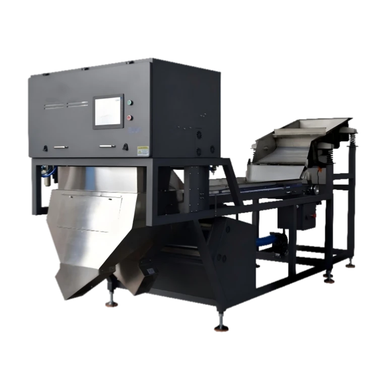 AI Color Sorter BL60 High Efficiency Garlic Cloves Color Grading Machine price
