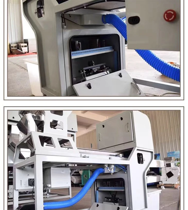 AI Color Sorter BL60 High Efficiency Garlic Cloves Color Grading Machine high quality