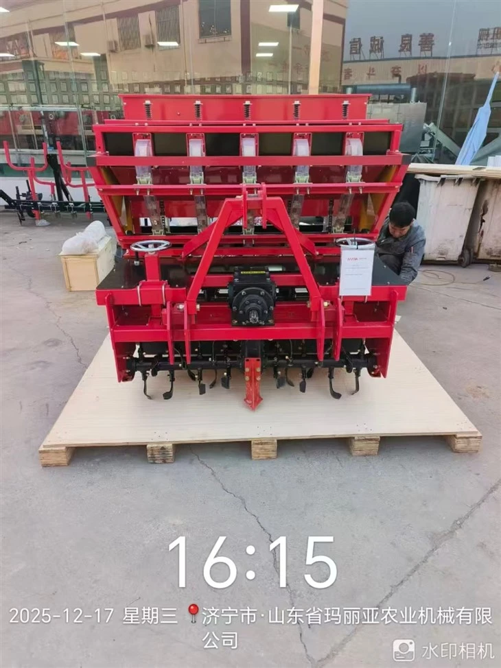 Automatic 5 Row Garlic Positive Bud Planter Uniform Bud Up Garlic Sowing Equipment high quality