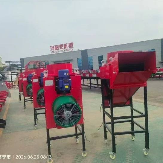 Automatic Garlic Bulb Splitting & Size Sorting Machine
