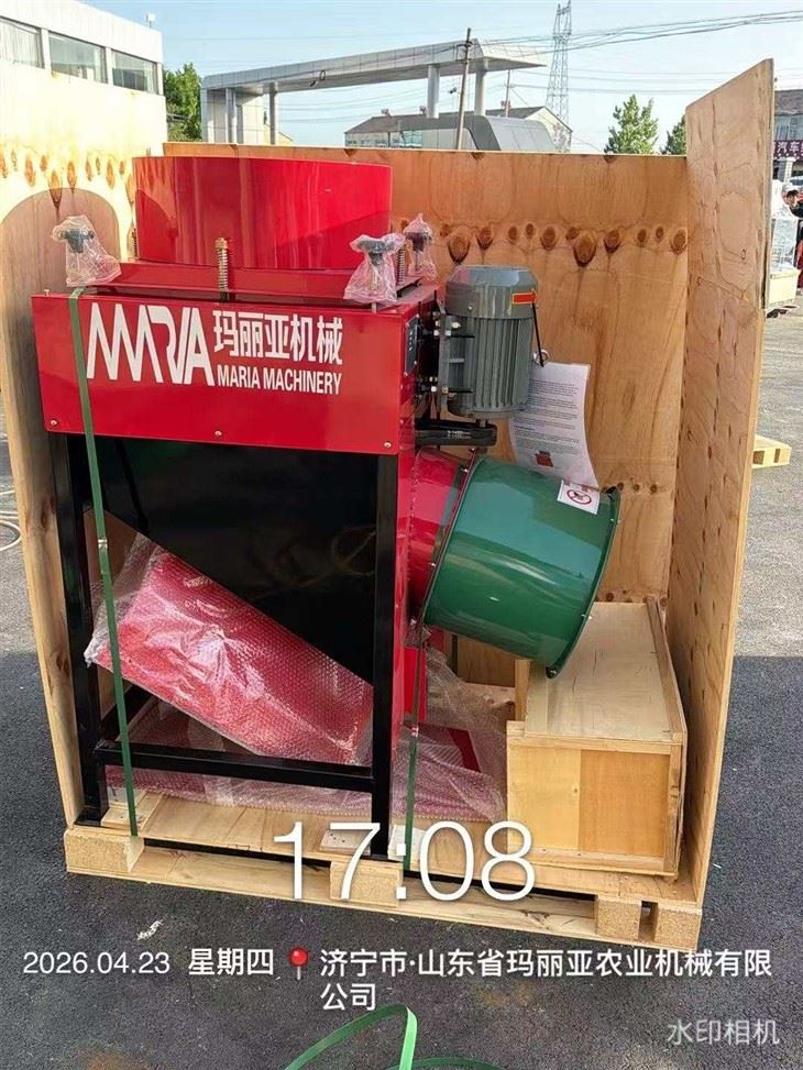 Automatic Garlic Clove Separating And Sorting Machine Garlic Bulb Breaking Grading Machine For Garlic Processing Plan high quality