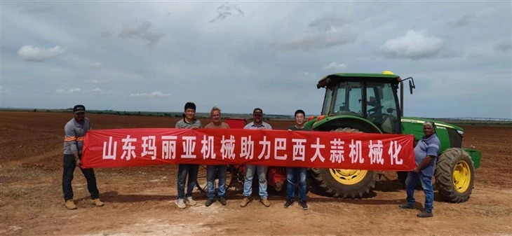 CE Certificate Self Propelled Garlic Harvester Digging Cutting Packing in One Go price