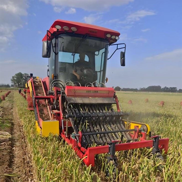 CE Certificate Self Propelled Garlic Harvester Digging Cutting Packing in One Go high quality