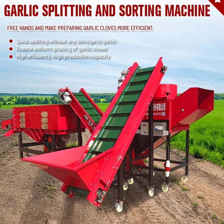 Cheap Price Multifunctional Fully Automatic Garlic Processing Plant Equipment Splitting Sorting Full Set Garlic Splitting And Sorting