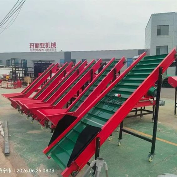 Commercial Garlic Splitting And Size Grading Machine For Garlic Processing