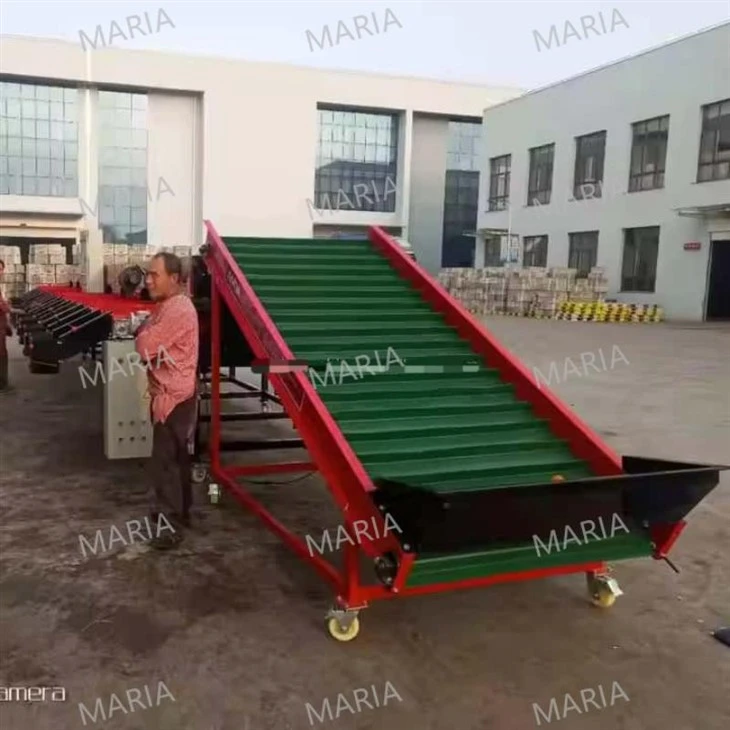Commercial Onion Sorting Machine Fruit Vegetable Sorter 5xfsy-1600 Agricultural Machinery factory