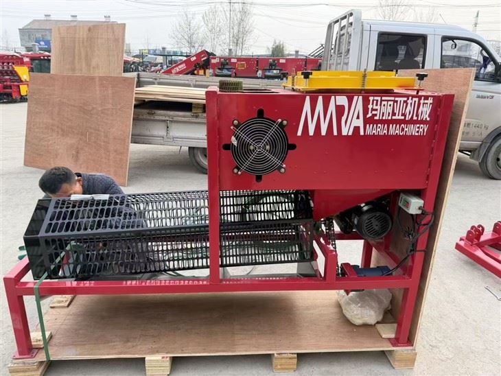 Easy Operation Garlic Clove Separator Garlic Grading Sorting Machinery