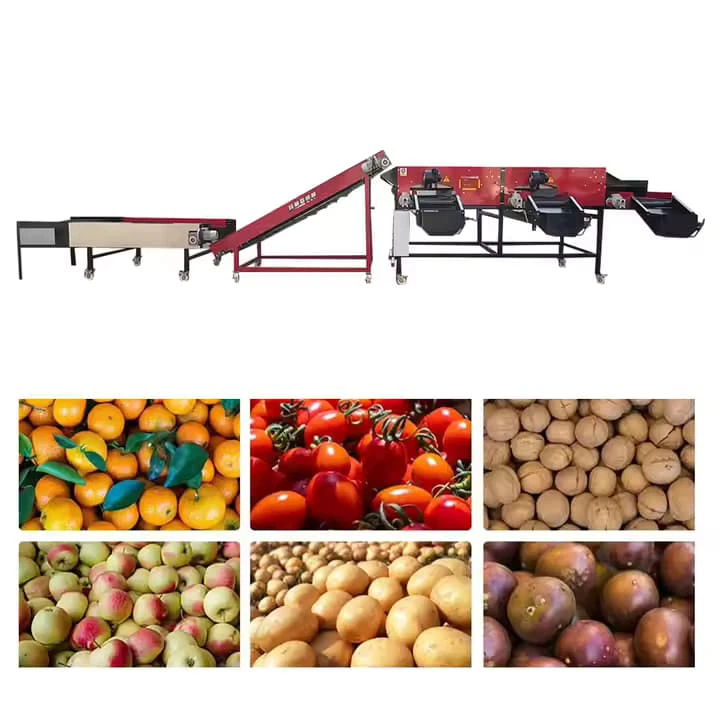 Factory Price Automatic Fruit Vegetable Sorting Apple Potato Tomato Orange Onion Grading Weighing Machine