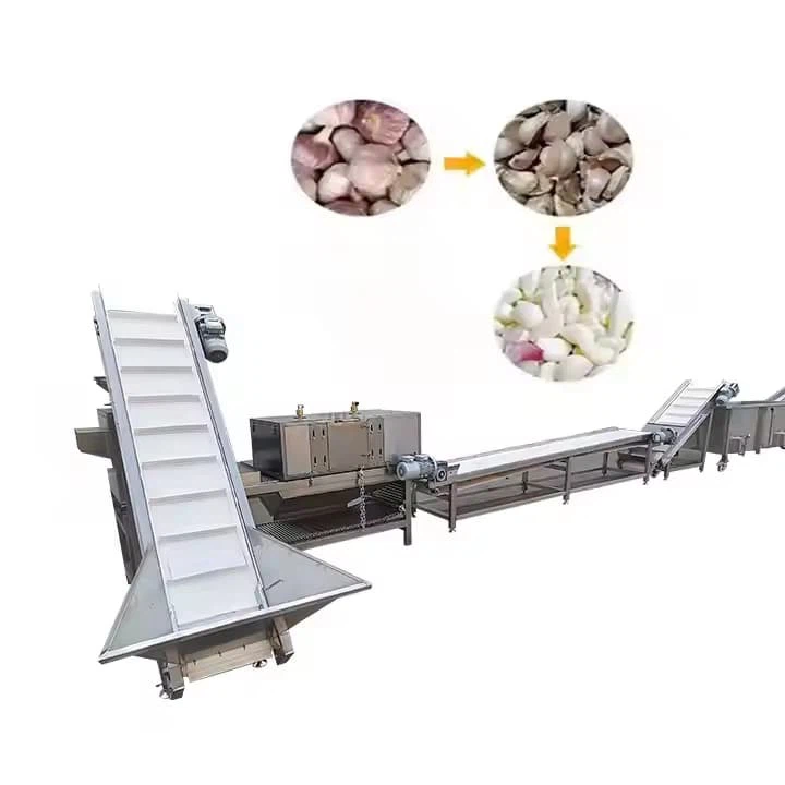 Garlic Peeling Production Line Garlic Peeled Packaging Production Line High Efficiency Garlic Sorting Machine