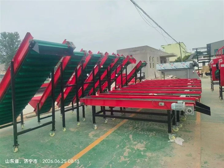 Garlic Clove Separating And Grading Machine Garlic Bulb Breaking Sorting Equipment To Imitate Manual Splitting Uniform Grading Of Garlic Cloves suppliers