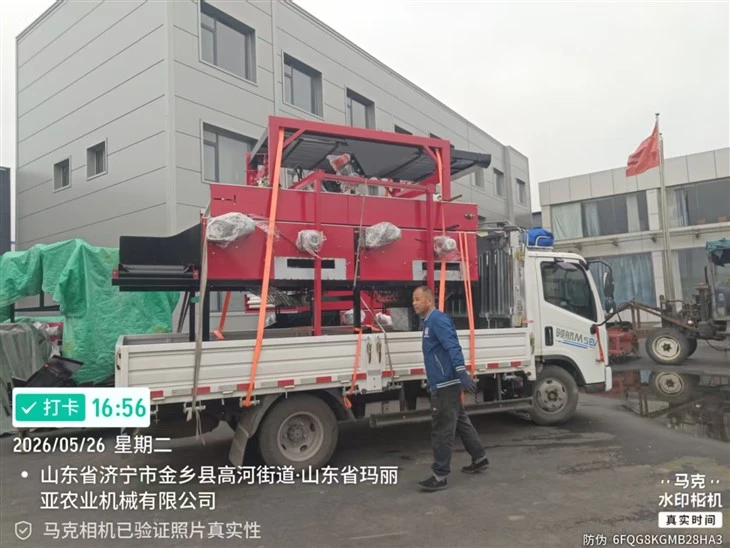 Garlic Large Size Sorter 5xfsy-1200/9A Agricultural Machinery high quality