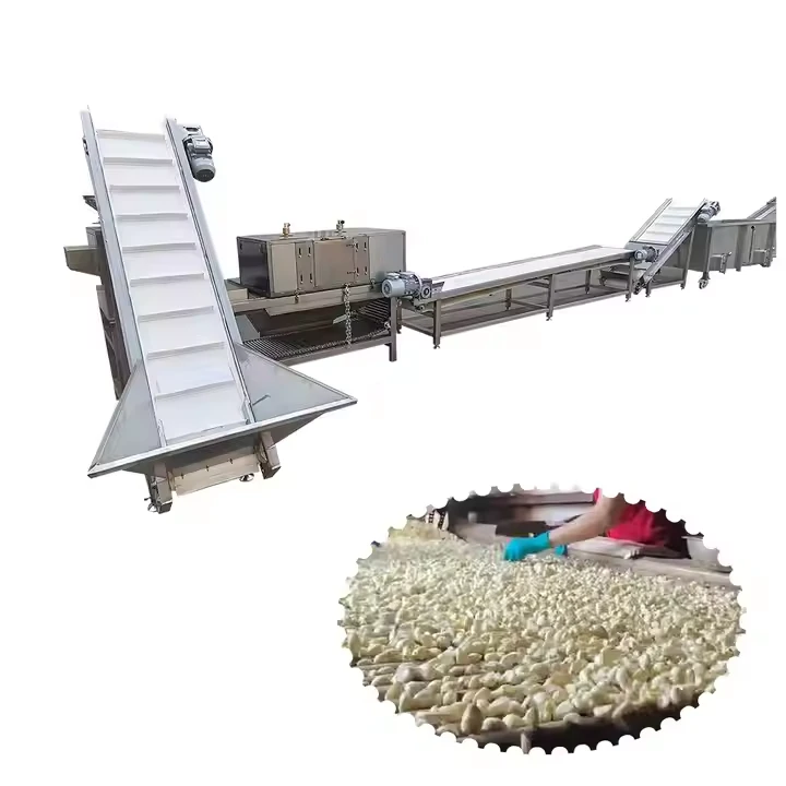 Garlic Production Line Garlic Processing Plant 100-1000 Kg Garlic Splitting machine, Peeling Machine, Color Sorter, Processing Machine