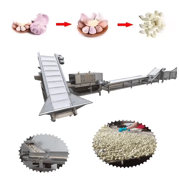 Garlic Processing Line Full-automatic Ultrasonic Clearing Machine And Garlic Flapping Machine