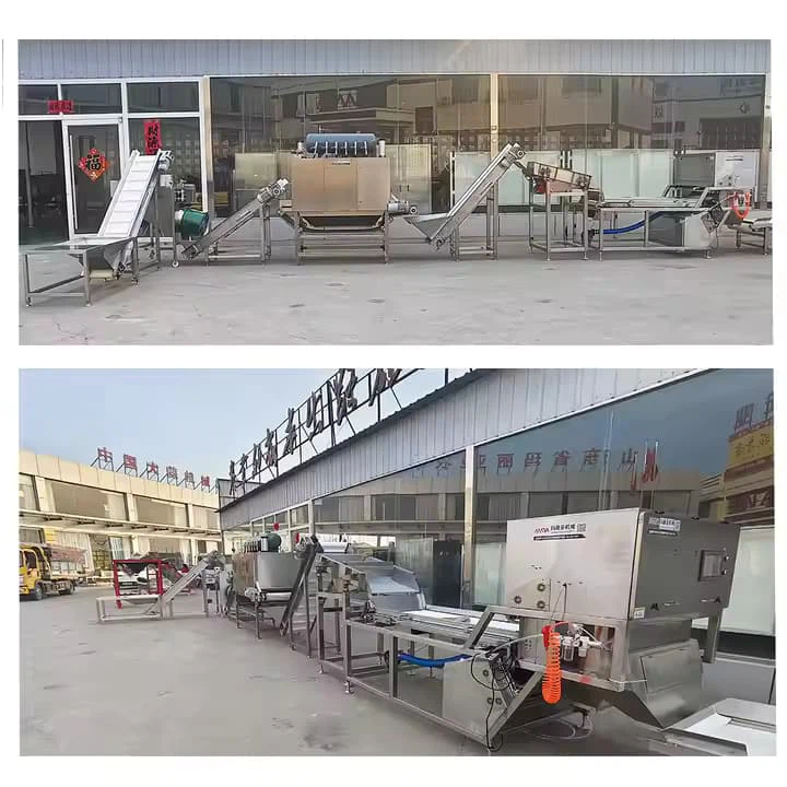 Garlic Deep Processing Line Full-automatic Clearing Machine And Garlic Peeling and Splitting production line Machine