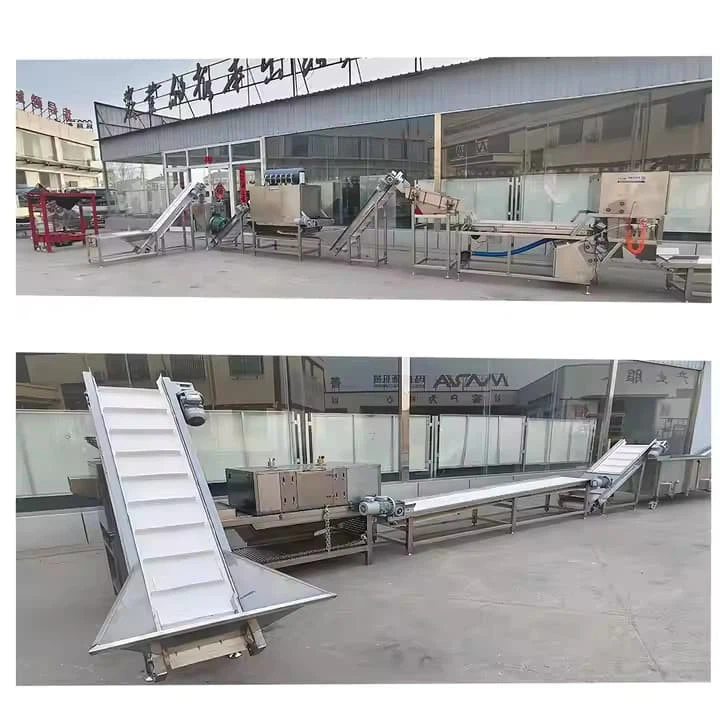 Garlic Processing Line Full-automatic Ultrasonic Clearing Machine And Garlic Flapping Machine