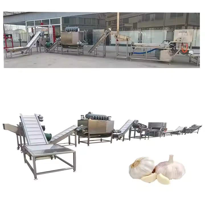 Garlic Processing Line Full-automatic Ultrasonic Clearing Machine And Garlic Flapping Machine