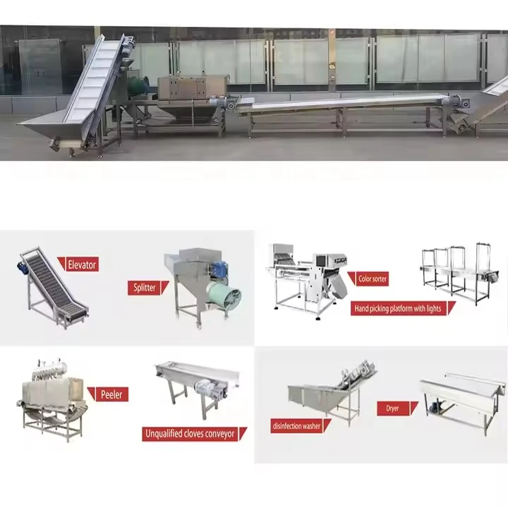 Low Investment Complete Garlic Peeling Packing Line Peeled Garlic Production Line