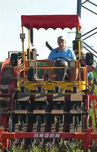 A Super Cool Garlic Combine Harvester Is Working!