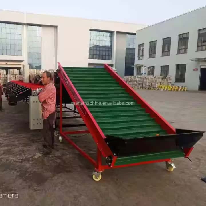 Onion (Fruit) Sorter 5xfsy-1200/6b Agricultural Machinery
