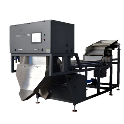 AI Color Sorter BL60 High Efficiency Garlic Cloves Color Grading Machine