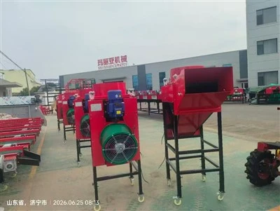 Automatic Garlic Bulb Splitting & Size Sorting Machine