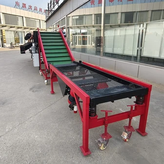 Automatic Garlic Sorting Machine Large Size Sorter With Food Safety Compliance For Export Customized OEM Medium Garlic Sorter