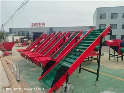 Automatic Garlic Splitter Grader Garlic Clove Separation Size Sorting Machine To Imitate Manual Splitting Uniform Grading Of Garlic Cloves