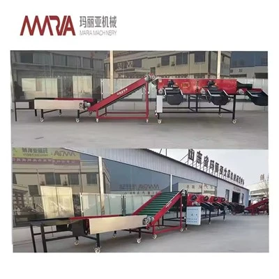 5XFSY-800/6A Garlic Size Grader Sorting Machine For Garlic Classify