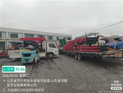 Garlic Large Size Sorter 5xfsy-1200/2A Agricultural Machinery