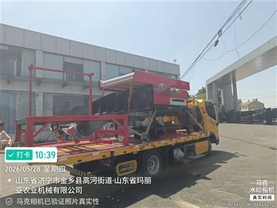 5XFSY-800/5A Garlic Size Sorting Machine Precise Garlic Grading Machine