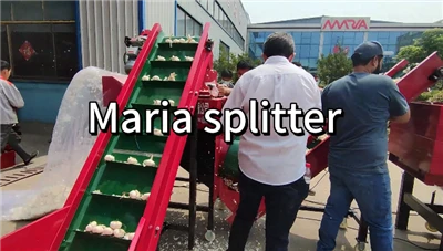 Garlic Splitter And Sorter 5xzsf-4A Agricultural Machinery