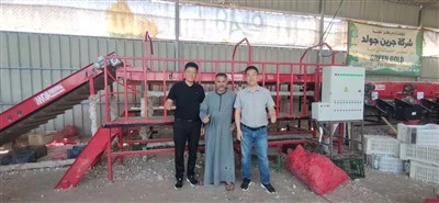 Good Quality Garlic Sorting Machine Size Grader For Commercial Use
