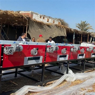 Large Scale Garlic Machine Garlic Size Sorter Grader For Food Commercial Processor