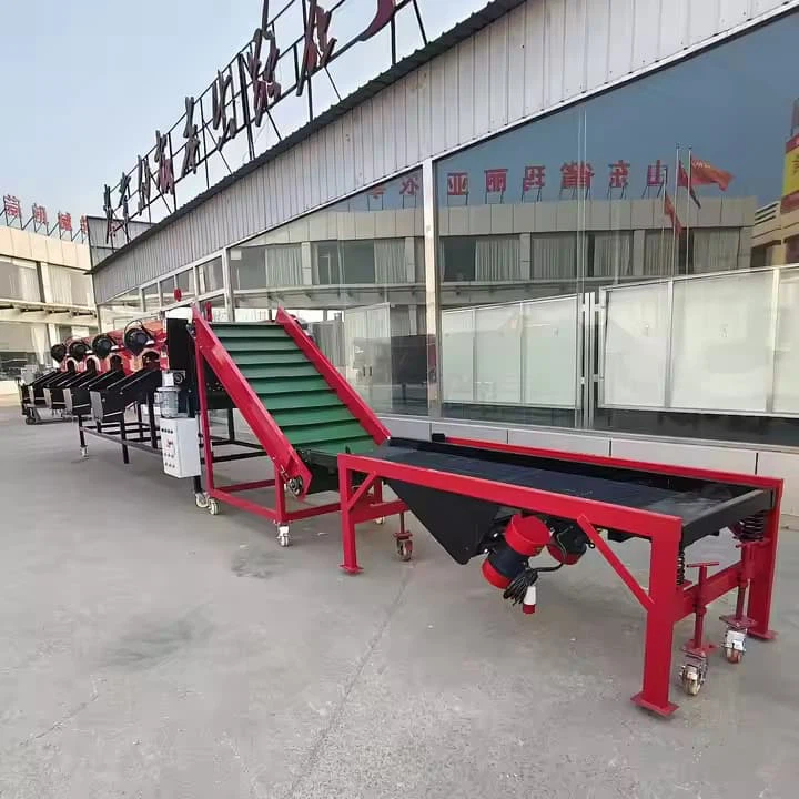 Large Gralic sorting machine grader equipment Garlic Processing Equipment Sorting agriculture grader equipment