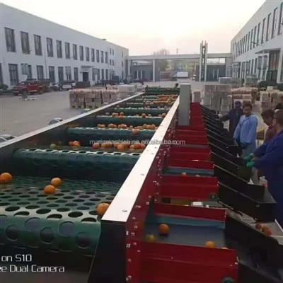 Onion (Fruit) Sorter 5xfsy-1200/5b Machine Agricultural Machinery