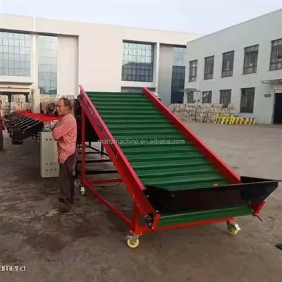 Onion (Fruit) Sorter 5xfsy-1200/6b Agricultural Machinery
