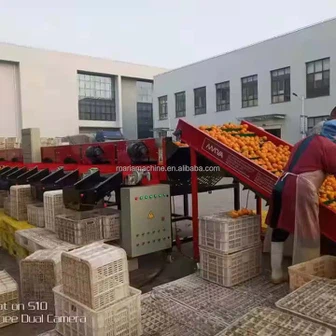 Online Wholesale Industrial Grading Equipment Apple Orange Peach Tomato Potato Grading Fruit Sorting Machine Adjustable Size Customizable Capacity for Organic Farms Sorter