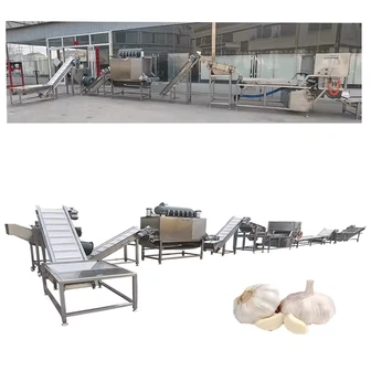 Peeled Garlic Production Line Buld Separating Garlic Clove Splitter Machine Garlic Cloves Separator Broker Machine