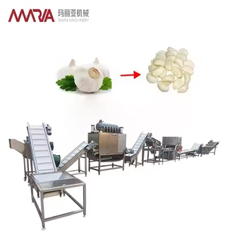Peeled Garlic Production Line Garlic Splitting Machine Peeling Machine Color Sorter Manual picking platform, disinfecting tank, washing chain, wiping dry machine,