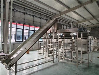 Stainless Steel Garlic Peeling Machine