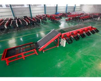 Garlic Grading Machine