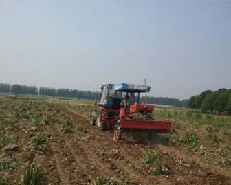 Single Garlic Harvester