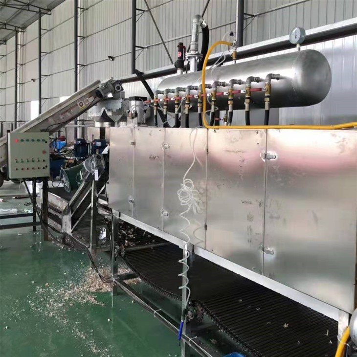 Peeled Garlic Production Line 1000kg/H