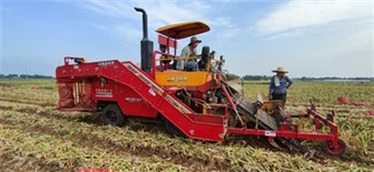 Self-propelled Garlic Harvester Cutting Stems